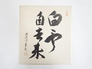 前大徳香岳筆　「白雲自去来」　肉筆色紙